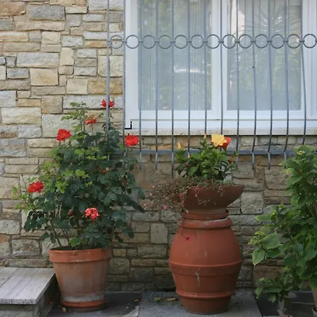 Oda ve Kahvaltı Ortensia