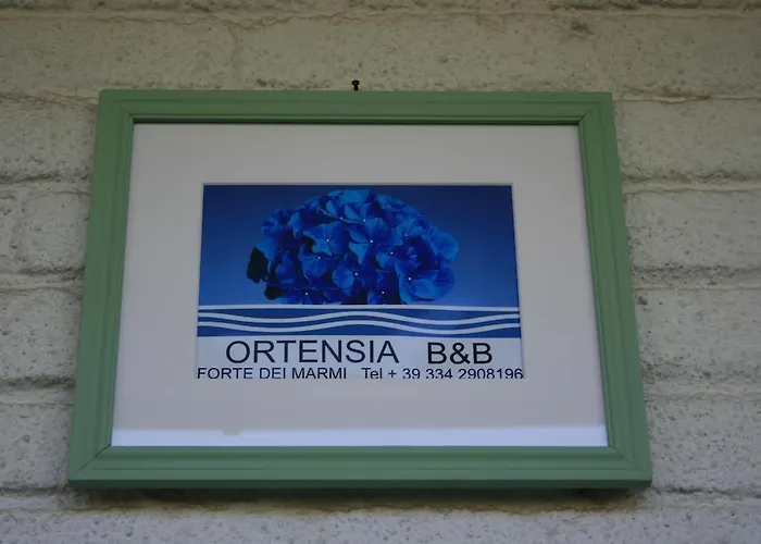 Alojamento de Acomodação e Pequeno-almoço Ortensia Forte dei Marmi